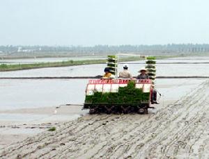 大坡鎮[榆樹市]