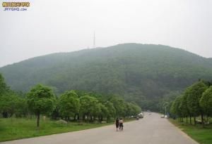 增城旅遊 增城旅遊