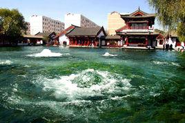 梅花泉酒 梅花泉酒