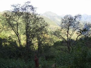 椅子山自然村 椅子山自然村