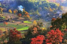 塔川紅葉秋韻濃