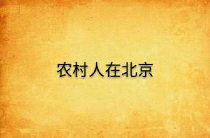 農村人在北京