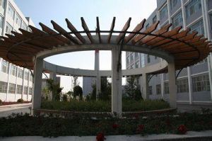 寧夏大學新華學院 