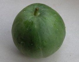 綠寶石2號 綠寶石2號