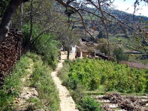 呱啦曲村 呱啦曲村