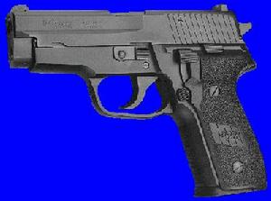 SIGSAUERP228手槍