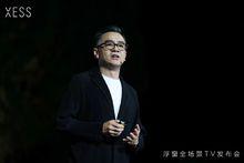 王成[TCL集團高級副總裁，TCL電子CEO]