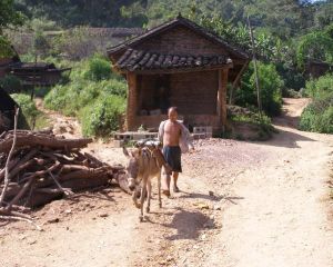 養馬廠自然村 養馬廠自然村