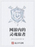 網遊內的靈魂旅者 網遊內的靈魂旅者