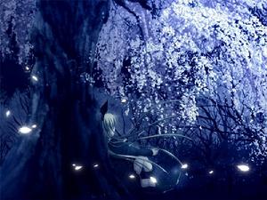 永不凋落的櫻花樹