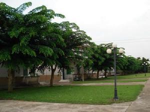 （圖）紅崗農場