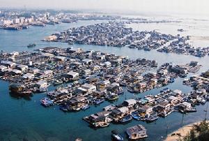 鳥瞰漁港內疍家漁排