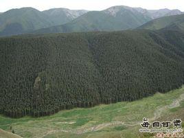 武威自然環境 武威自然環境