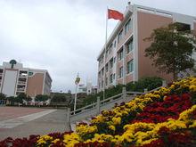 花團錦簇的校園