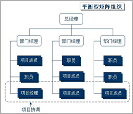 平衡矩陣型組織