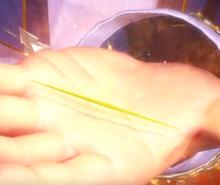 唐門[唐家三少《斗羅大陸》系列作品勢力]