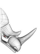 犀牛軟體 犀牛軟體