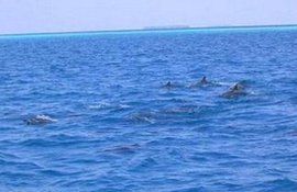 海洋化學資源 海洋化學資源