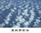 絮狀高積雲