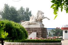 山東經貿職業學院