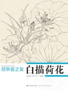 白描荷花 白描荷花