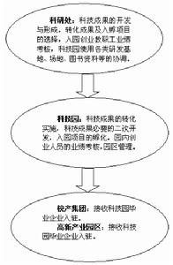 學校科研處、科技園、校產集團在成果轉化上的關係