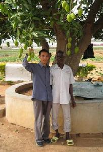 我在非洲的親身經歷 我在非洲的親身經歷