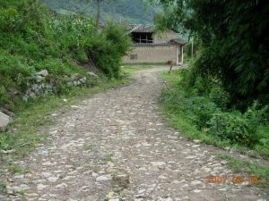 金坪二村 金坪二村