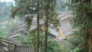 耿家丫口自然村 耿家丫口自然村