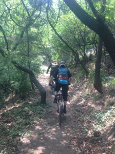 麟道山地車主題公園 麟道山地車主題公園