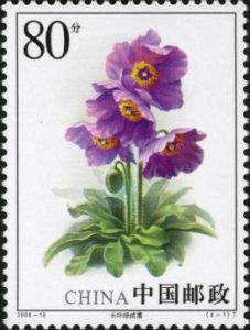 2004-18 綠絨蒿(T)