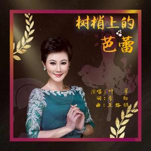 樹梢上的芭蕾 樹梢上的芭蕾