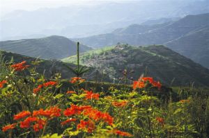 尖山風景區管委會 尖山風景區管委會