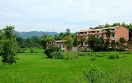 大眾村[黑龍江克山縣西聯鄉下轄村]