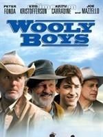 《羊毛男孩》 《羊毛男孩》