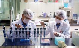 dna偵破技術 dna偵破技術