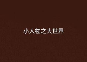 小人物之大世界 小人物之大世界