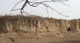 下孟村遺址 下孟村遺址