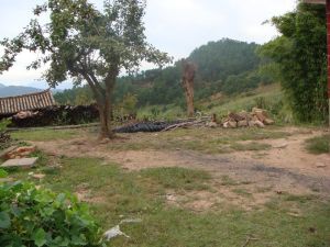 大屋地村 大屋地村