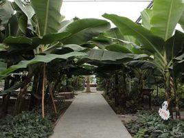 印象藍泊灣生態觀光園 印象藍泊灣生態觀光園