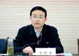 王民生[合肥市政府副市長]