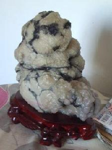 陰山雪玉 陰山雪玉