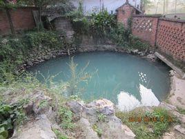 勉縣金泉 勉縣金泉