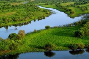 黑蜂國家級自然保護區 黑蜂國家級自然保護區
