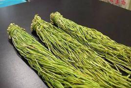 銀芽貢菜 銀芽貢菜