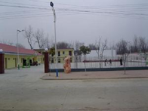 河南省南陽市宛城區金華鄉(圖4)