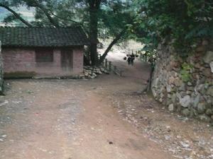 那外自然村村內衛生<a name="ref_[6]"></a>