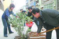 拓東街道 拓東街道