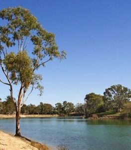 維多利亞河 維多利亞河