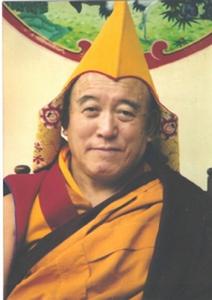 丹瑪洛卻仁波切 丹瑪洛卻仁波切